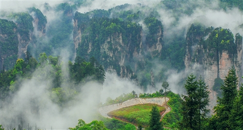 雾里看山