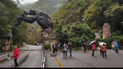 世界自然遗产---神农架