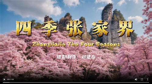 四季张家界